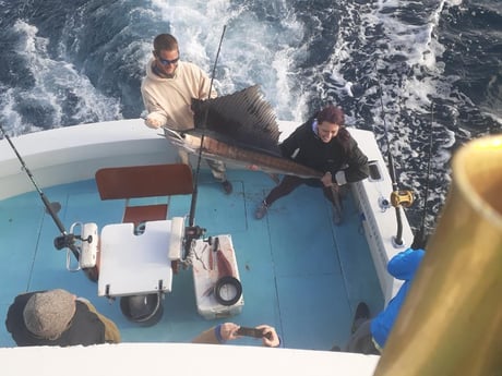 Sailfish Fishing in West Palm Beach, Florida