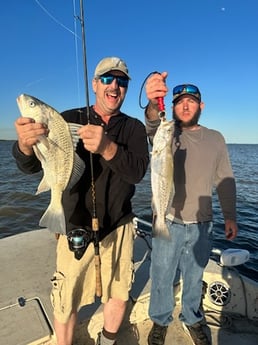 Black Drum, Speckled Trout Fishing in Matagorda, Texas