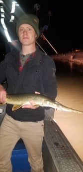 Alligator Gar Fishing in Livingston, Texas