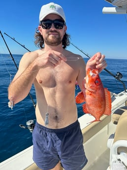 Rockfish Fishing in Niceville, Florida