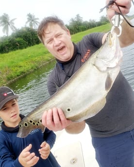 Clown Knifefish Fishing in Delray Beach, Florida