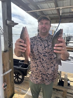 Fishing in Gulf Shores, Alabama