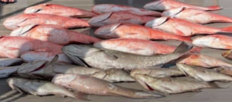 Fishing in Tierra Verde, Florida