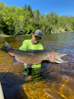 Rainbow Trout Fishing in Stanwood, Michigan