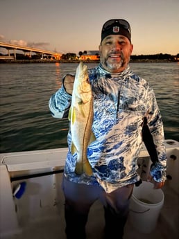 Fishing in Sebastian, Florida