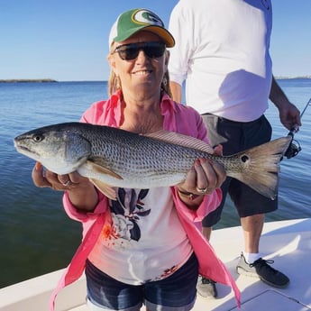 Redfish Fishing in Cape Coral, Florida