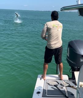 Tarpon Fishing in St. Petersburg, Florida