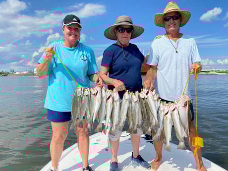 Speckled Trout / Spotted Seatrout fishing in Port Arthur, Jefferson County