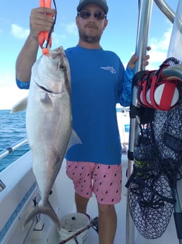Amberjack fishing in Clearwater, Florida
