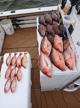 Fishing in Pensacola, Florida