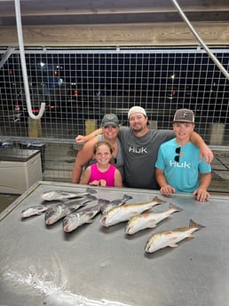 Black Drum, Redfish Fishing in Matagorda, Texas
