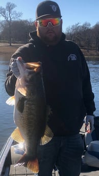 Largemouth Bass Fishing in Alba, Texas