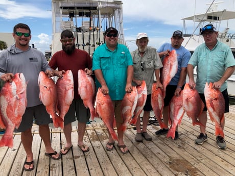 Red Snapper fishing in Dauphin Island, Alabama