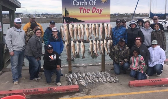 Black Drum, Redfish Fishing in Rockport, Texas