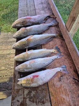 Fishing in Galveston, Texas
