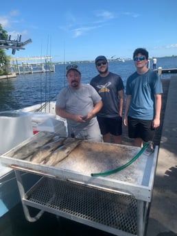 Redfish Fishing in Bradenton, Florida