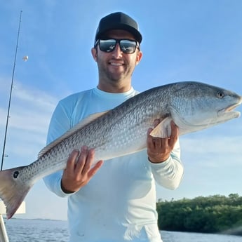 Redfish Fishing in Clearwater, Florida