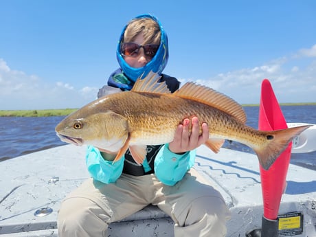 Redfish fishing in St. Bernard, Louisiana