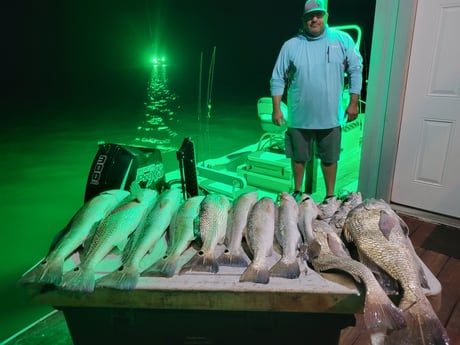 Black Drum, Redfish Fishing in Matagorda, Texas