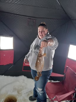 Northern Pike Fishing in Washburn, Wisconsin