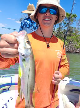 Fishing in Fort Myers Beach, Florida