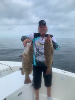 Gag Grouper Fishing in Bradenton, Florida