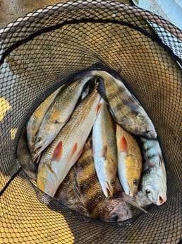 Fishing in Galveston, Texas