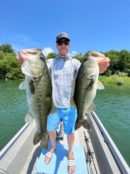 Largemouth Bass fishing in Buda, Texas