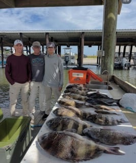 Fishing in Lacombe, Louisiana
