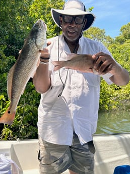 Fishing in St. Petersburg, Florida