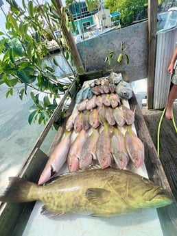 Fishing in Tavernier, Florida