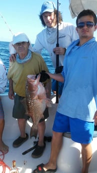 Fishing in Sarasota, Florida
