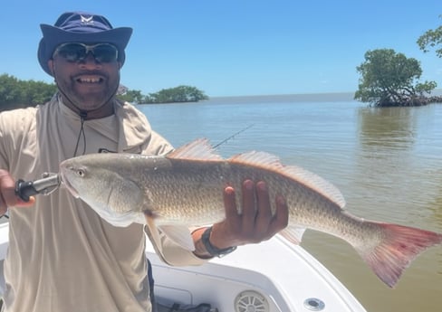 Fishing in Chokoloskee, Florida