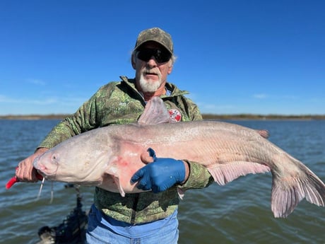 Blue Catfish Fishing in Dallas, Texas