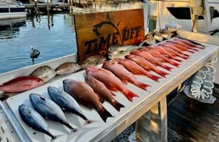 Mangrove Snapper, Red Snapper Fishing in Destin, Florida