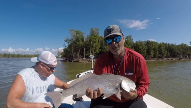 Redfish Fishing in Miami, Florida