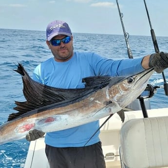 Little Tunny / False Albacore fishing in Hillsboro Beach, Florida