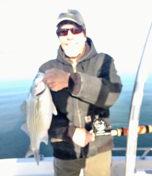 Hybrid Striped Bass Fishing in Runaway Bay, Texas