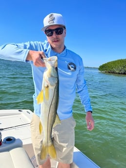 Snook fishing in Fort Myers, Florida