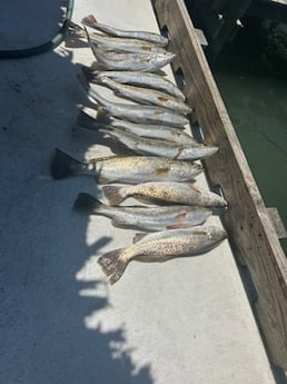 Fishing in Rockport, Texas