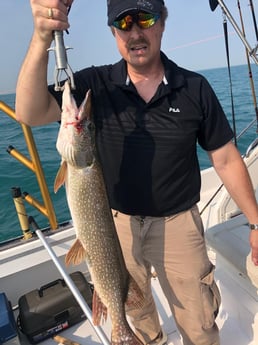 Fishing in Casco, Michigan