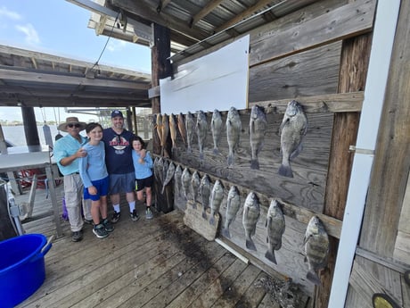 Black Drum, Redfish Fishing in Louisiana, MO, USA