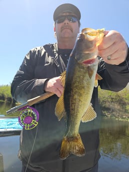 Fishing in Pembroke Pines, Florida