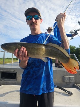 Fishing in Houston, Texas