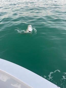 Fishing in Rock Hall, Maryland