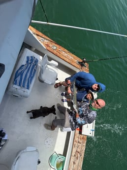 Fishing in Key West, Florida