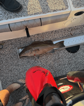 Fishing in Tampa, Florida