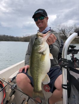 Largemouth Bass fishing in Buda, Texas