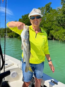 Snook fishing in Fort Myers, Florida