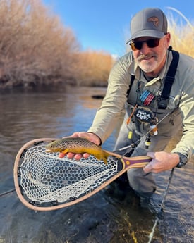 Fishing in Hume, California